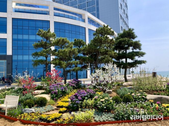 시흥시, 꽃 가득한 거북섬 해안도로 조성