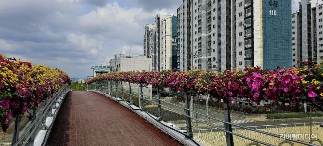 2025년도 수인선 상부육교 꽃길 조성 전경
