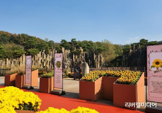 부천시는 무릉도원수목원 입구 중앙광장에서 가을꽃 전시회를 진행하고 있다