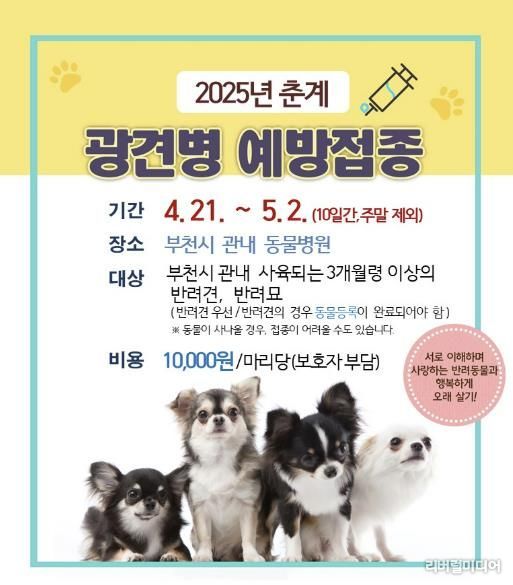 2025년 춘계 광견병 예방접종 안내문