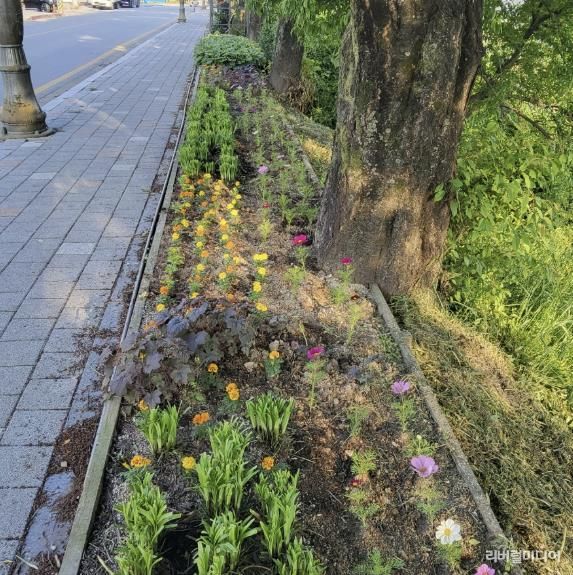 아름다운 소양천 시민정원 한국마스터가드너협회 여주지부와 함께 꽃길조성