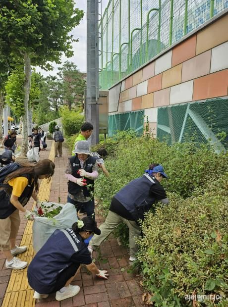 수원시 영통구 매탄4동 가을맞이 환경정비의 날 실시