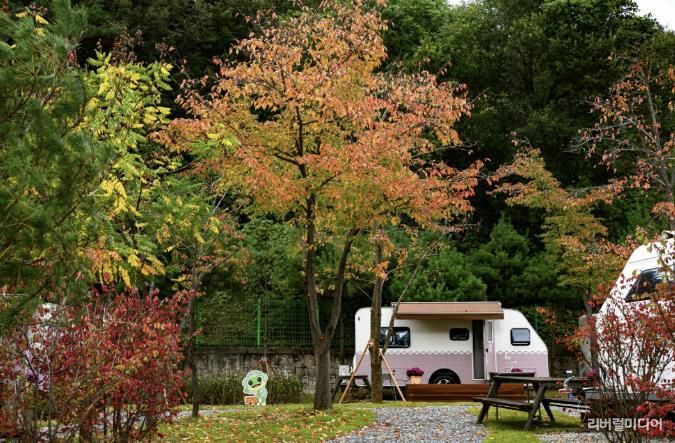청량산 수원캠핑장 시설