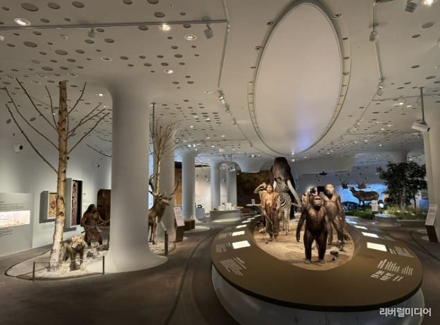 경기문화재단 전곡선사박물관, 상설전시실 전면 개편…42cm '초대형 주먹찌르개' 최초 공개