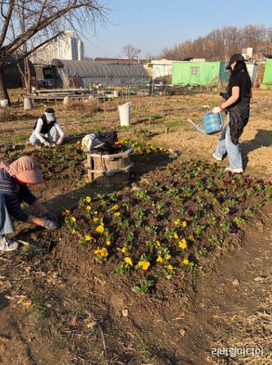 광명시 광명5동 청소년지도협의회는 지난 28일 다가오는 식목일을 기념해 위원들과 함께 봄꽃 심기 행사를 진행했다.